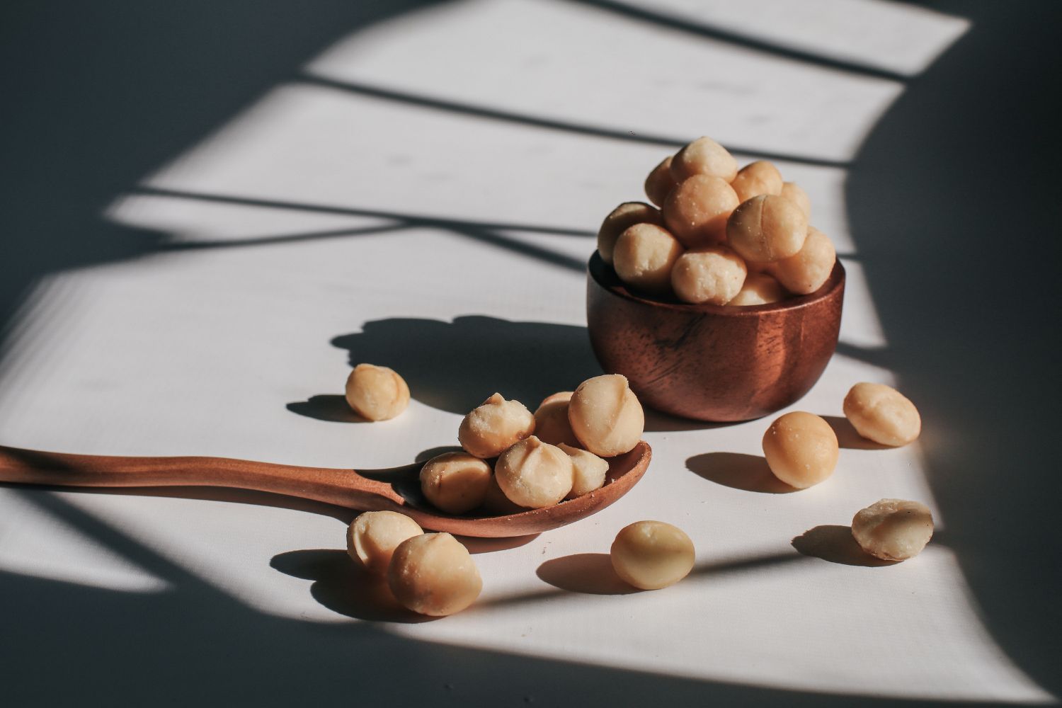 Can Dogs Eat Macadamia Nuts? Getting A Dog