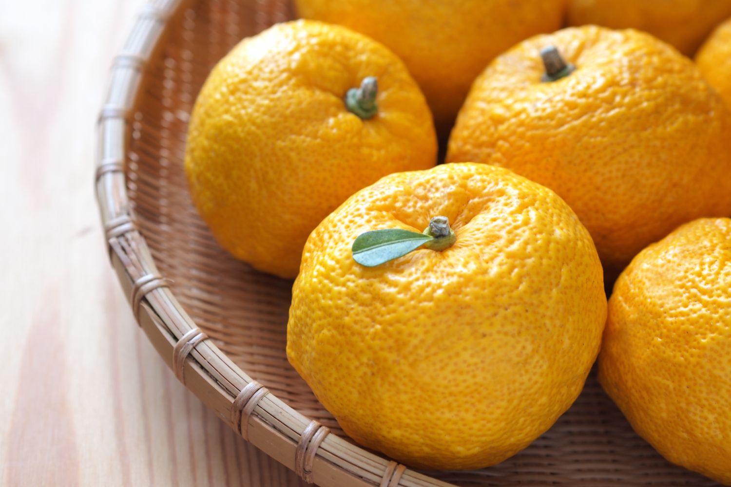 can-dogs-eat-yuzu-getting-a-dog